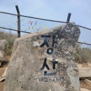2022/5-24(화) 부산 장산 주중 산행 공지[점심없는산행] 이미지