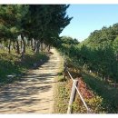 용정굴다리~동해소방서 이미지