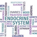 자경당한의원 | 신지로이드를 먹어도 계속 피곤해요 {부산갑상선한의원}