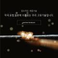 마이크로헤어증모
