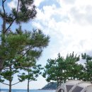 동산포 캠핑장 이미지