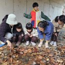 새장유어린이집 이미지