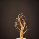 두부마을 이미지