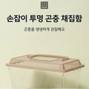 우블리샵 | 사슴벌레 키우기 시작! 다이소&인터넷 조합으로 만 원 이상 아끼는 가성비 팁 (feat. 아들 둘 가정보육...