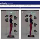 엑스바디 이미지