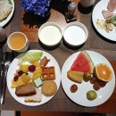 장가계 3 - 십리화랑. 천자산, 공중전원 - 2025. 9. 14 이미지