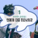 안경도시 이미지