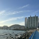 영도주단 이미지