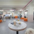 개랑놀아주는남자 이미지