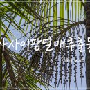 (주)이팜 이미지
