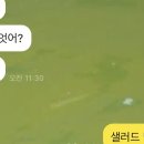 베르도네(Verdone) 이미지