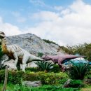 스테이 230 이미지