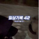 대라리헐타시장통닭 | 일상기록 42 / 251016 ~ 251031