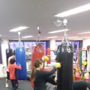 YM복싱클럽 이미지