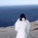 동경약품 이미지