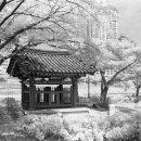 이공제비 및 군수이후범선영세불망비 이미지