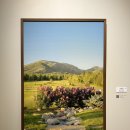 우디알렉스 | [서울 전시 추천] 조나단 베르탱, 알렉스 키토 사진전 그라운드시소 이스트에서 감상한 후기