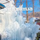 팜파스휴게식당 | 부산근교 경남 밀양 눈썰매장 개장 참샘허브나라
