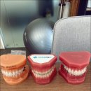 엠치과의원 이미지