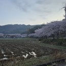 어선경로당 이미지