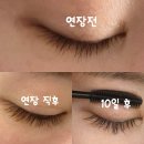 강남구청 속눈썹연장 추천 자연스러운 티나스타일 내돈내산 유지력좋은 후기