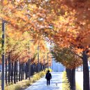 생명공원 이미지