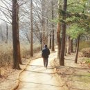 굴포공원 배드민턴장 이미지