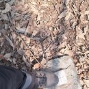 덕솔이네 이미지