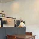 모던카센타 | [양산/물금]카페 공손 : 조용한 분위기와 아기자기 감성가득/백호택지 카페