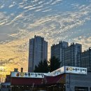 새일주유소 이미지