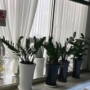 프로헤어 | 인생 머리 찾은 썰 푼다! 창원 상남동 한결프로헤어 솔직 후기