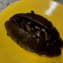 네상떼과자점 이미지