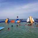 남해바다향기 이미지