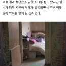 몸으로 때우다 사망 이미지