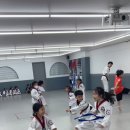 진향태권도장 네이버블로그