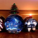 꼬치피네 이미지