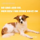 이렇게 좋은날 이미지