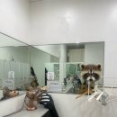 퍼티코 | 역삼역헬스장 역삼PT 엑스퍼티짐 헬스 골프 역삼점