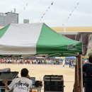 부산초등학교 | 부산 초등학교 운동회 타임이벤트 체육대회 현장 후기