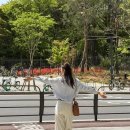 아씨헤어라인 이미지