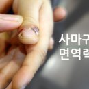 고구려한의원 이미지