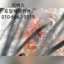 탈모응급실 리버스-다시태어나다 이미지