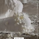 박도우展 ˝보이지 않는˝ 네이버블로그