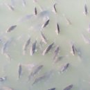 수변2공원 이미지