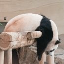 사부자네 | 산스장 운동고수 아저씨께 pt 받은 후기 산스장 뜻