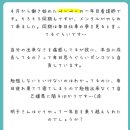 [하루하나 일본어] ぺーぺー：미숙한 사람. 햇병아리. 평사원의 平에서 파생됨. 이미지