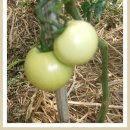 광희농장 이미지