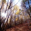 캠핑더하기 이미지