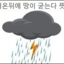 비온뒤 이미지