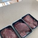 진성엔에프 이미지